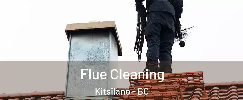  Flue Cleaning Kitsilano - BC
