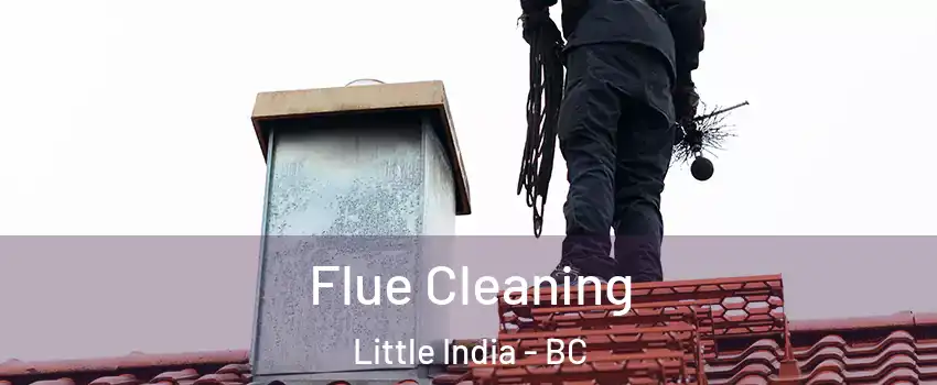  Flue Cleaning Little India - BC