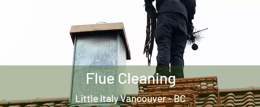  Flue Cleaning Little Italy Vancouver - BC