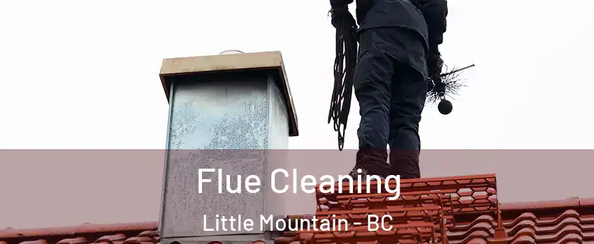  Flue Cleaning Little Mountain - BC