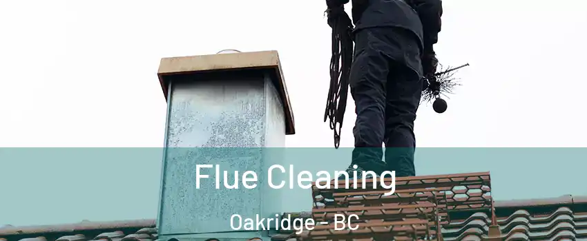  Flue Cleaning Oakridge - BC
