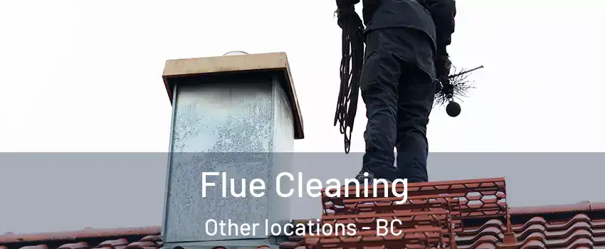  Flue Cleaning Other locations - BC