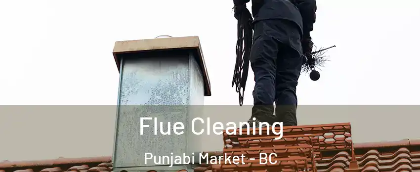  Flue Cleaning Punjabi Market - BC