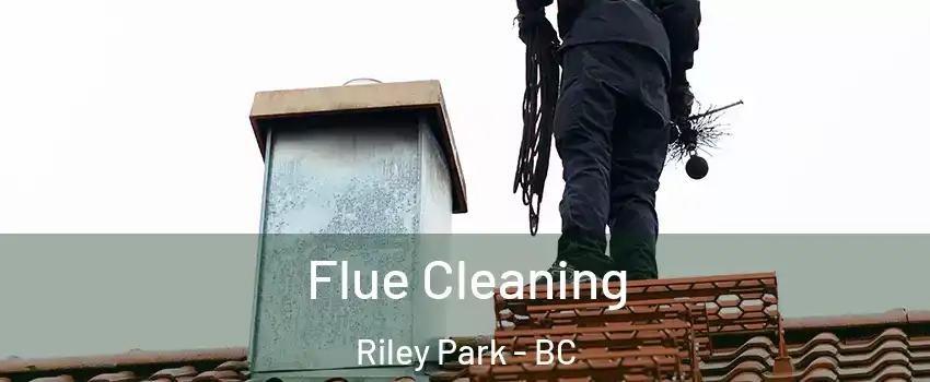  Flue Cleaning Riley Park - BC