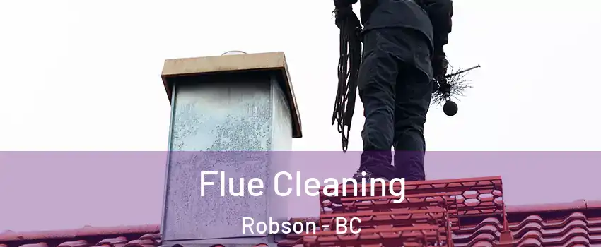  Flue Cleaning Robson - BC