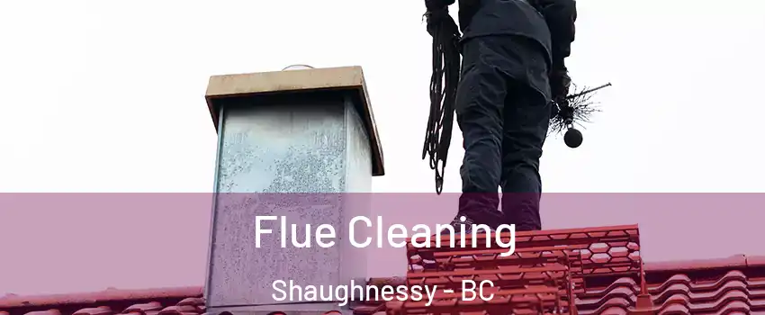  Flue Cleaning Shaughnessy - BC