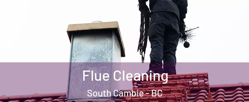  Flue Cleaning South Cambie - BC