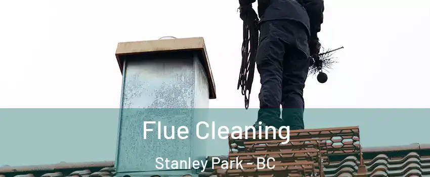  Flue Cleaning Stanley Park - BC