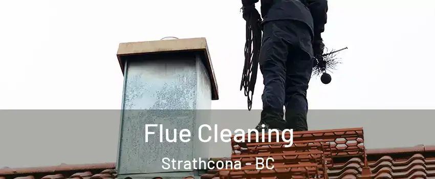  Flue Cleaning Strathcona - BC