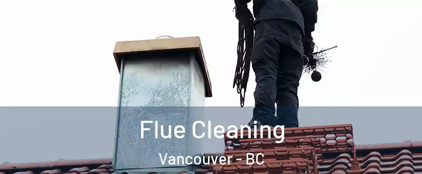  Flue Cleaning Vancouver - BC