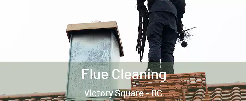  Flue Cleaning Victory Square - BC