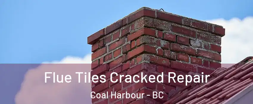  Flue Tiles Cracked Repair Coal Harbour - BC
