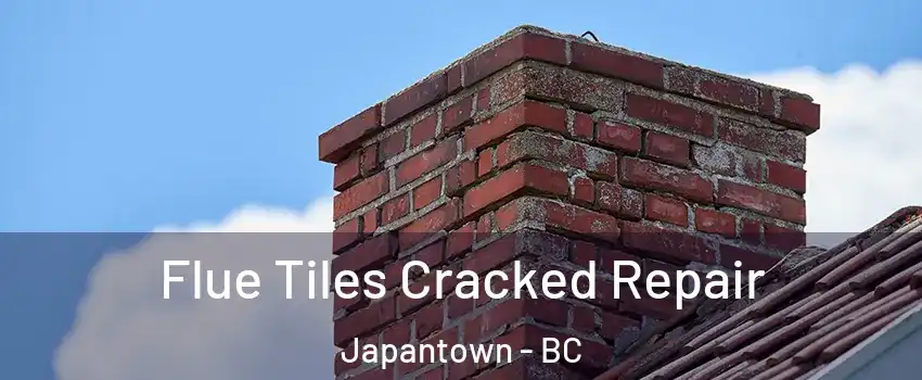  Flue Tiles Cracked Repair Japantown - BC