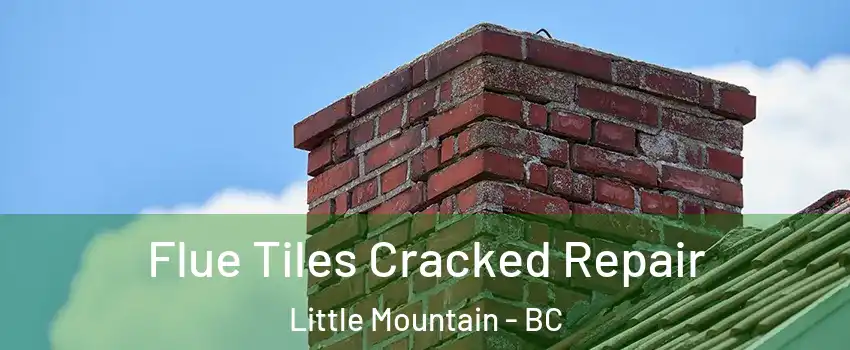  Flue Tiles Cracked Repair Little Mountain - BC