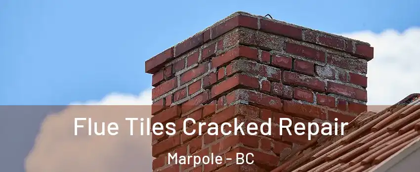  Flue Tiles Cracked Repair Marpole - BC