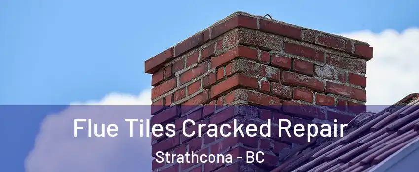  Flue Tiles Cracked Repair Strathcona - BC