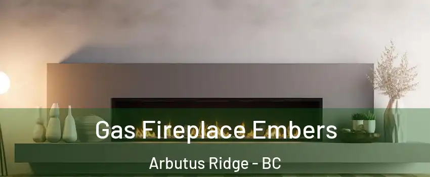  Gas Fireplace Embers Arbutus Ridge - BC