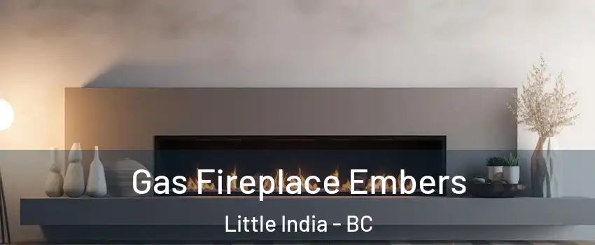  Gas Fireplace Embers Little India - BC