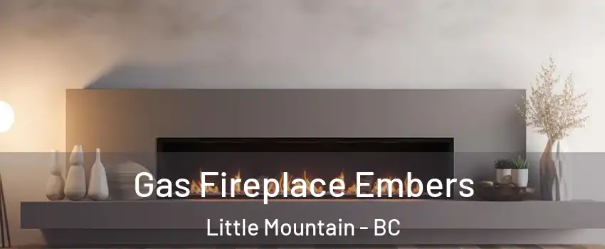  Gas Fireplace Embers Little Mountain - BC