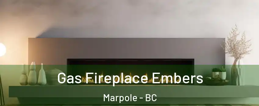  Gas Fireplace Embers Marpole - BC