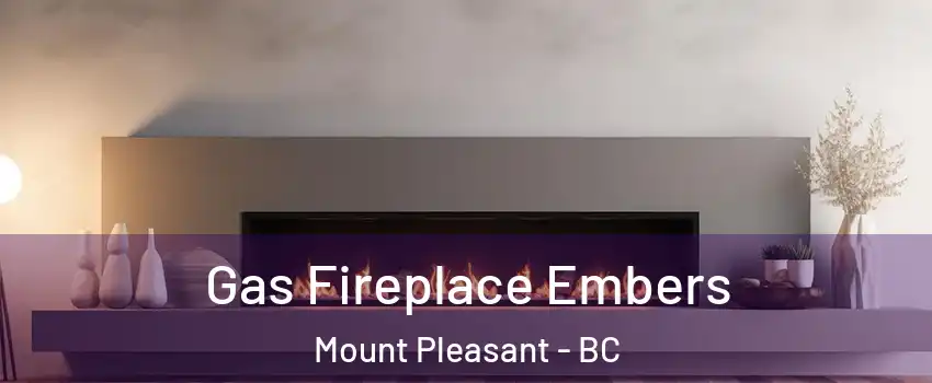  Gas Fireplace Embers Mount Pleasant - BC
