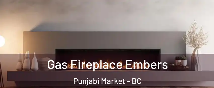  Gas Fireplace Embers Punjabi Market - BC