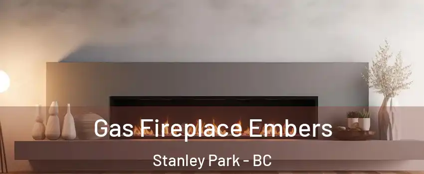  Gas Fireplace Embers Stanley Park - BC