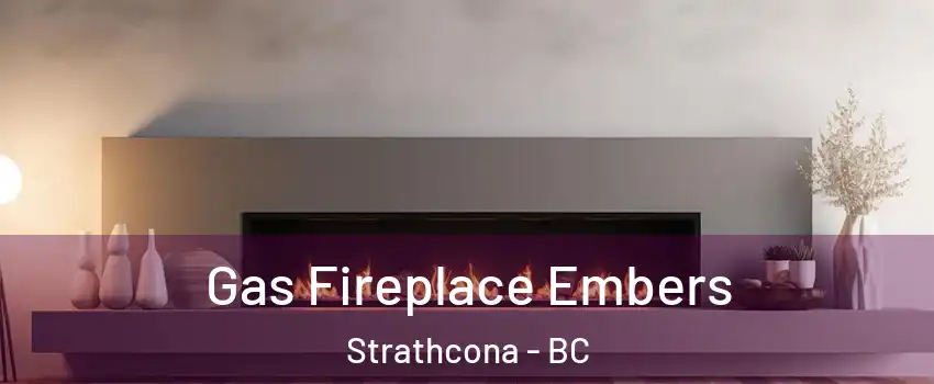  Gas Fireplace Embers Strathcona - BC
