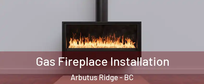  Gas Fireplace Installation Arbutus Ridge - BC