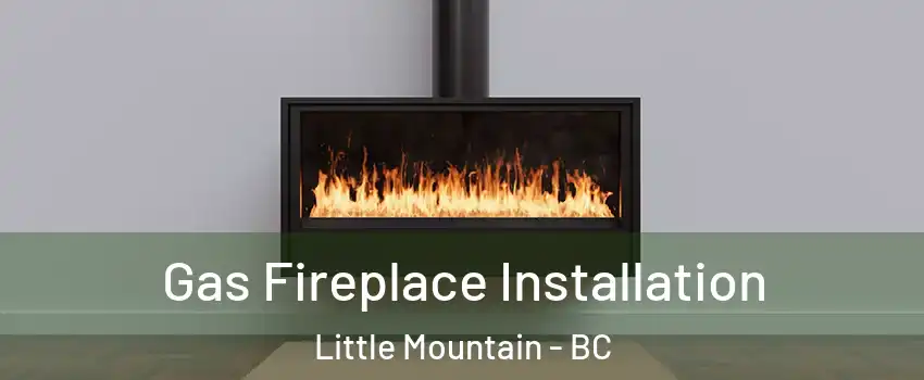  Gas Fireplace Installation Little Mountain - BC