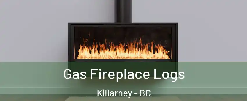 Gas Fireplace Logs Killarney - BC