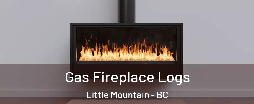  Gas Fireplace Logs Little Mountain - BC