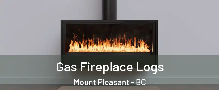  Gas Fireplace Logs Mount Pleasant - BC