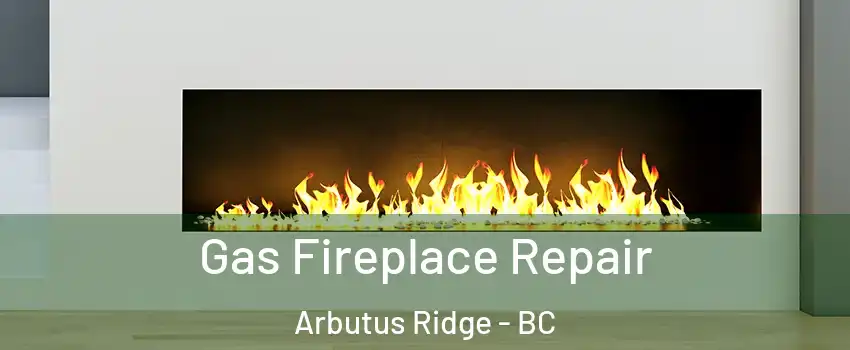  Gas Fireplace Repair Arbutus Ridge - BC