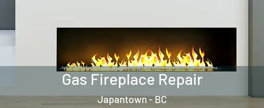  Gas Fireplace Repair Japantown - BC