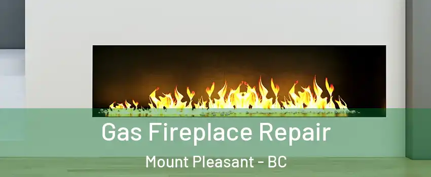  Gas Fireplace Repair Mount Pleasant - BC