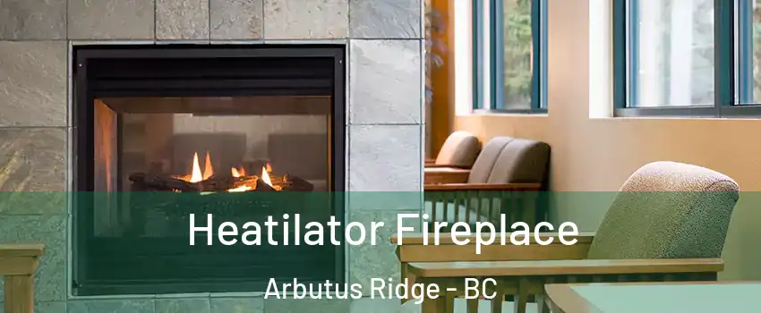  Heatilator Fireplace Arbutus Ridge - BC