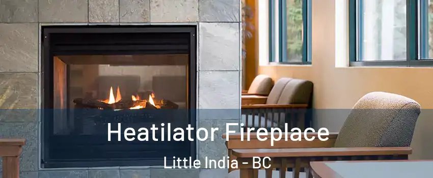  Heatilator Fireplace Little India - BC