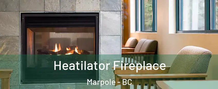  Heatilator Fireplace Marpole - BC