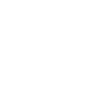 Professional Chimney Flue Installation in Vancouver, British Columbia