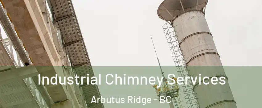  Industrial Chimney Services Arbutus Ridge - BC