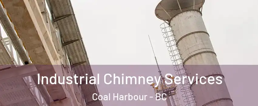  Industrial Chimney Services Coal Harbour - BC
