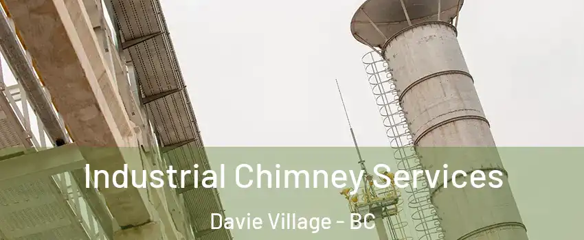  Industrial Chimney Services Davie Village - BC