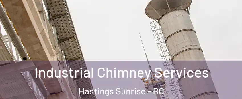  Industrial Chimney Services Hastings Sunrise - BC