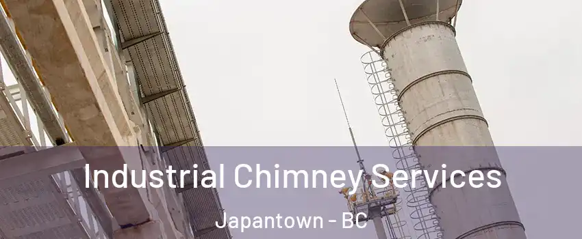  Industrial Chimney Services Japantown - BC