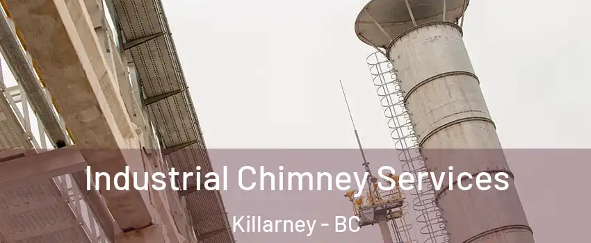  Industrial Chimney Services Killarney - BC