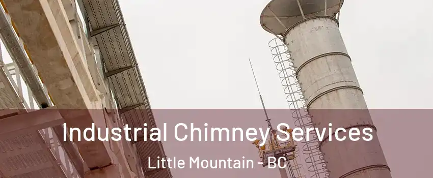  Industrial Chimney Services Little Mountain - BC