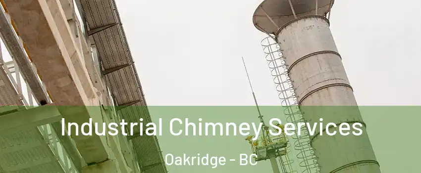  Industrial Chimney Services Oakridge - BC