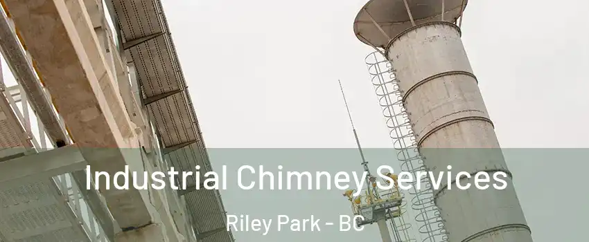  Industrial Chimney Services Riley Park - BC