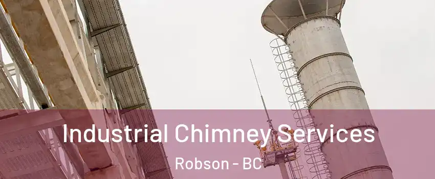  Industrial Chimney Services Robson - BC